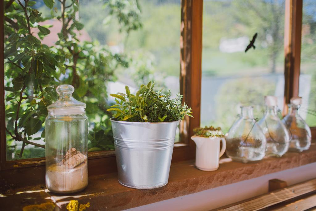 Dreimaederlhaus - Das Vegetarische Boutique Hotel Füssen Exteriér fotografie